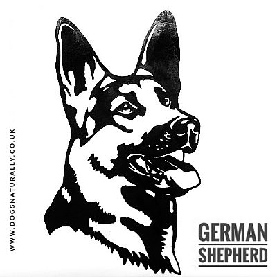 German Shepherd Wall Art